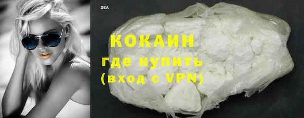 дживик Богородск
