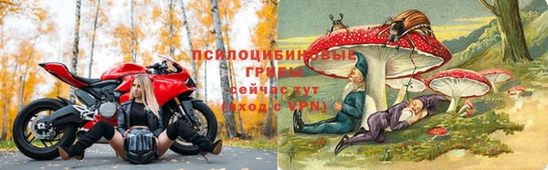 наркотики Белокуриха