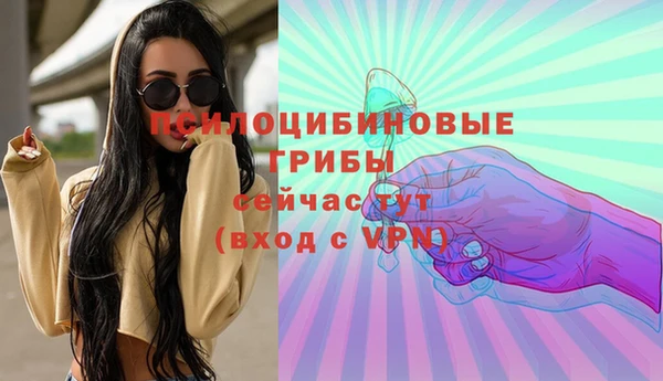 не бодяженный Богородицк